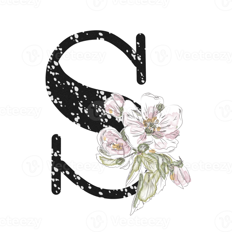 illustration de lettres décorées d'un bouquet de pivoines png