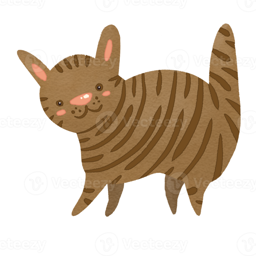 Hand drawn cat in cartoon style png