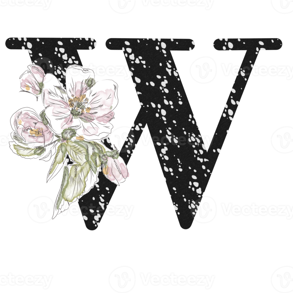 Illustration of letters decorated with a bouquet of peonies png