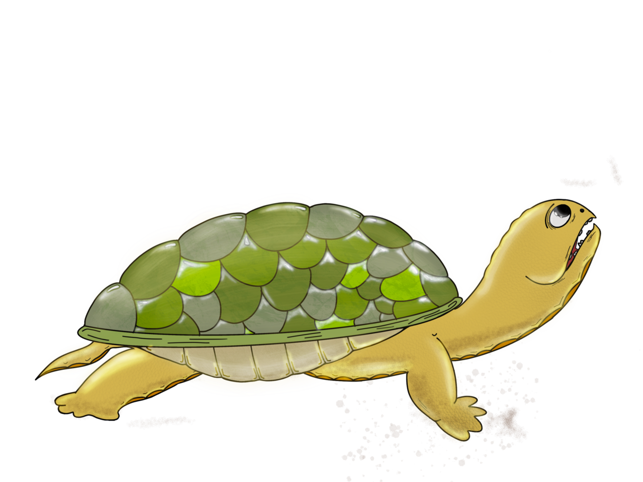 tortuga sorprendida e insatisfecha levanta la cabeza png