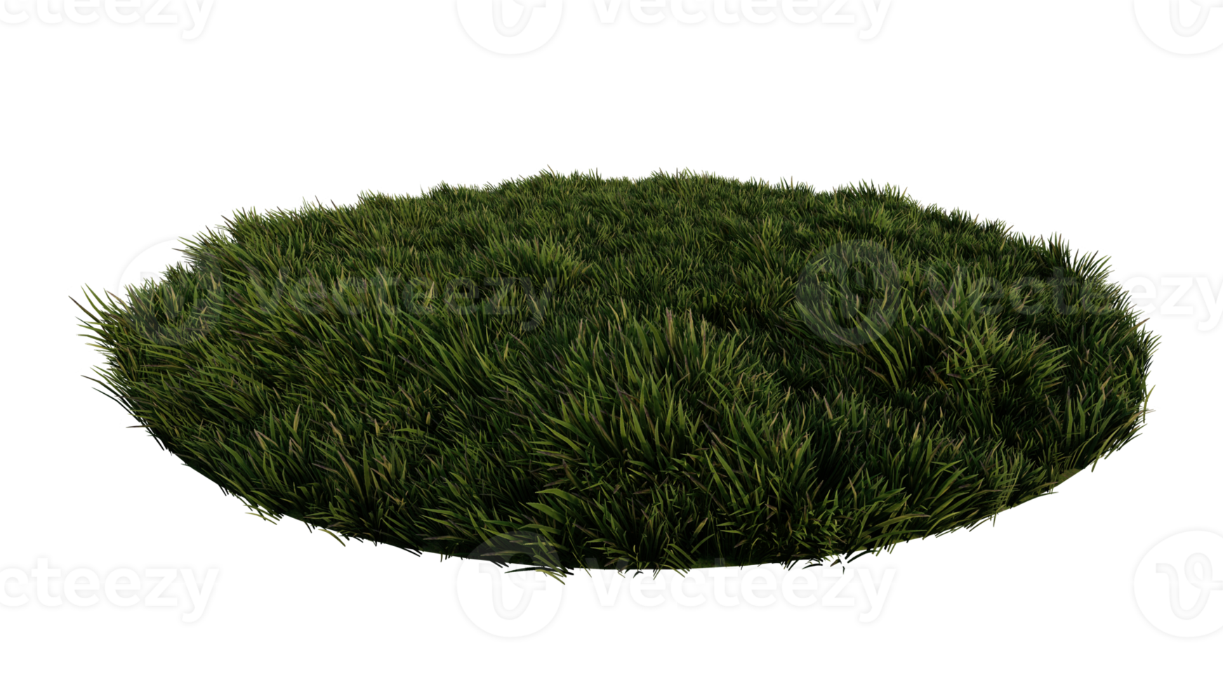 3ds rendering image of  grasses field. png