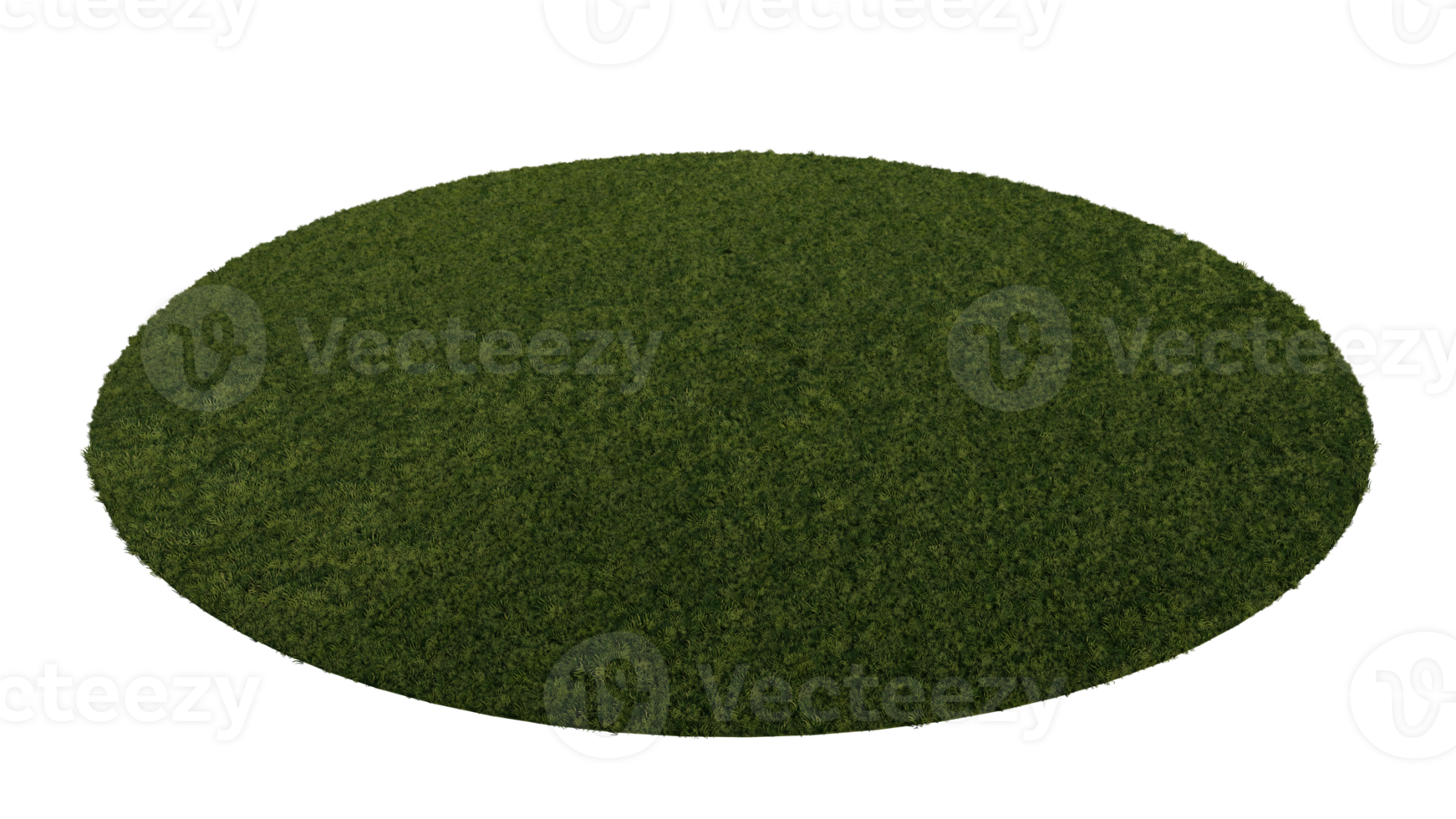 3ds rendering image of grasses field. png