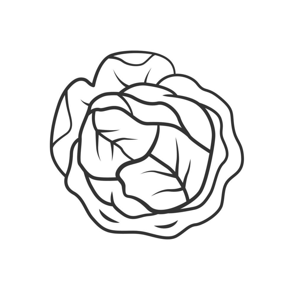 icono lineal de repollo. planta de agricultura. ingrediente de ensalada. verdor. alimentos orgánicos. dieta vegetariana. granja de hortalizas. ilustración de línea delgada. símbolo de contorno dibujo de contorno aislado vectorial. trazo editable vector