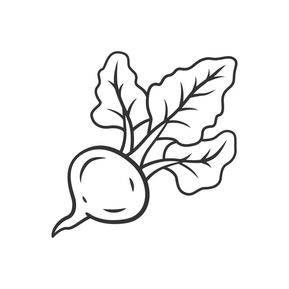 Beet linear icon. Agriculture plant. Soup ingredient. Vitamin. Diet. Healthy food. Vegan nutrition. Thin line illustration. Contour symbol. Vector isolated outline drawing. Editable stroke