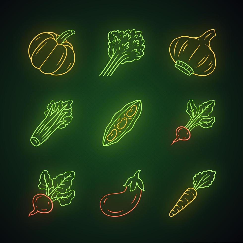 conjunto de iconos de luz de neón de verduras. calabaza, remolacha, maíz, tomate, berenjena, pimiento. vitamina. dieta. nutrición saludable. comida vegetariana. signos brillantes. Ilustraciones de vectores aislados