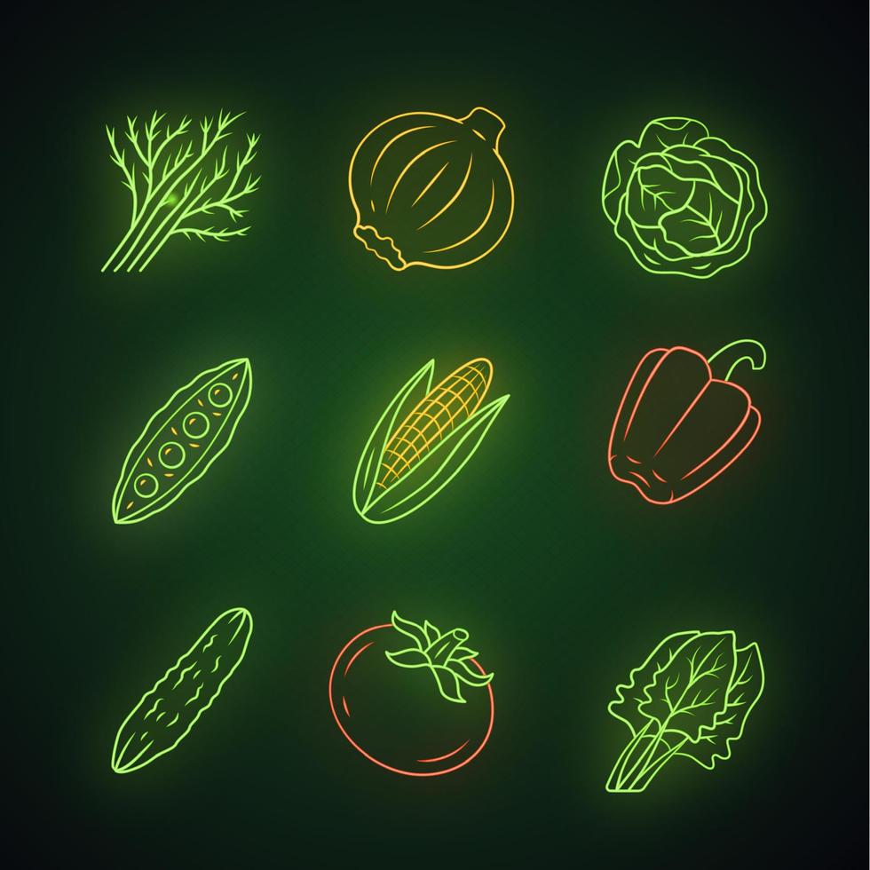 conjunto de iconos de luz de neón de verduras. repollo, remolacha, maíz, tomate, pepino, pimiento. vitamina. dieta. nutrición saludable. comida vegetariana. signos brillantes. Ilustraciones de vectores aislados