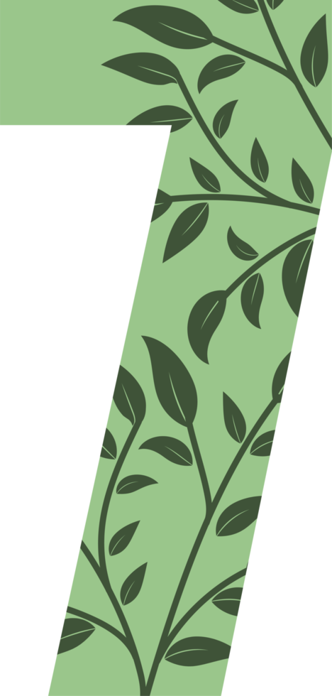 Green leaves number, Number design with floral leaves png