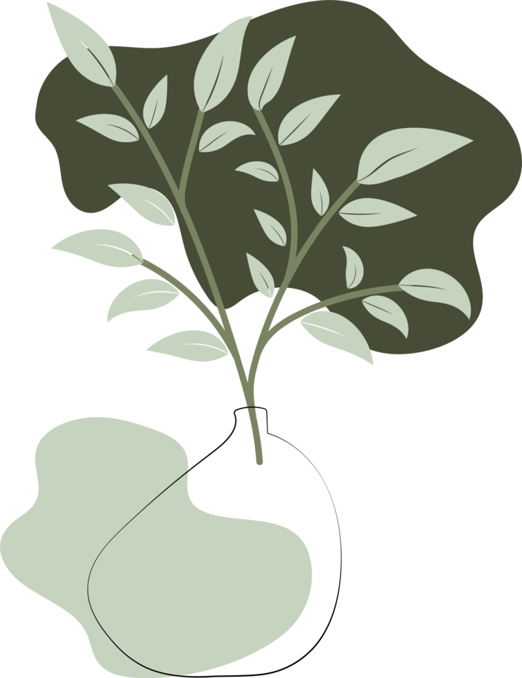 contorno vaso con foglie floreali e forma organica astratta, illustrazione in stile minimale png