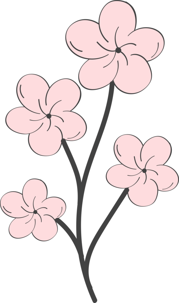 bloemen bloem en bladeren met de hand getekend, abstracte botanische illustratie png