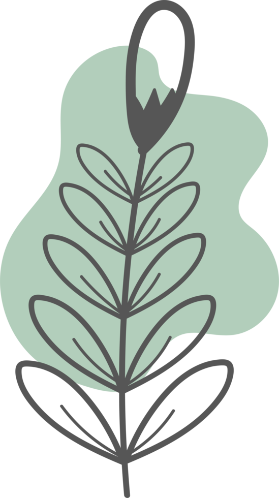Floral flower hand drawn with organic freeform shape, Abstract botanical illustration png