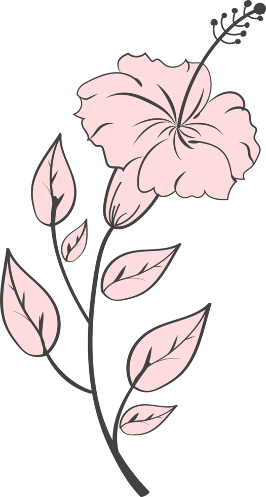 fleur florale et feuilles dessinées à la main, illustration botanique abstraite png