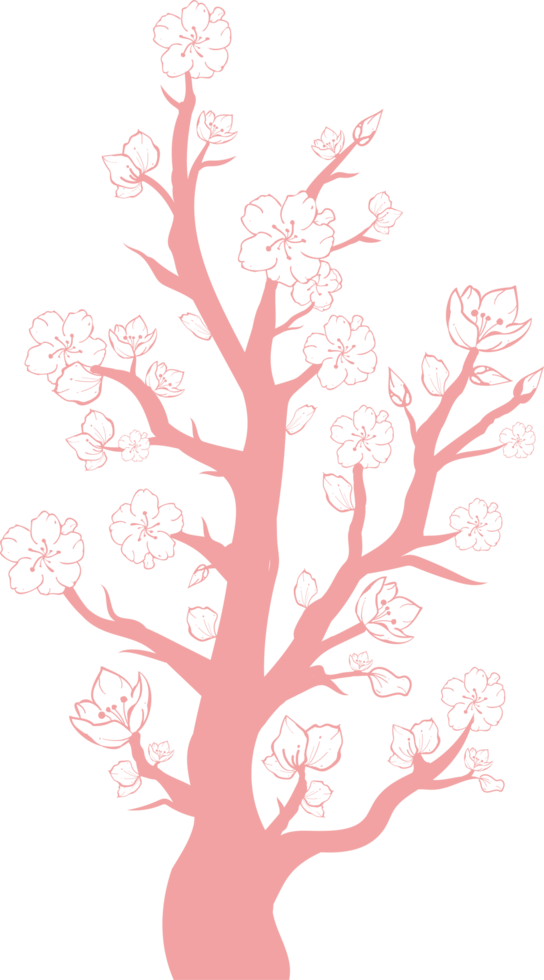 blumen und blätter handgezeichnet, abstrakte botanische illustration png