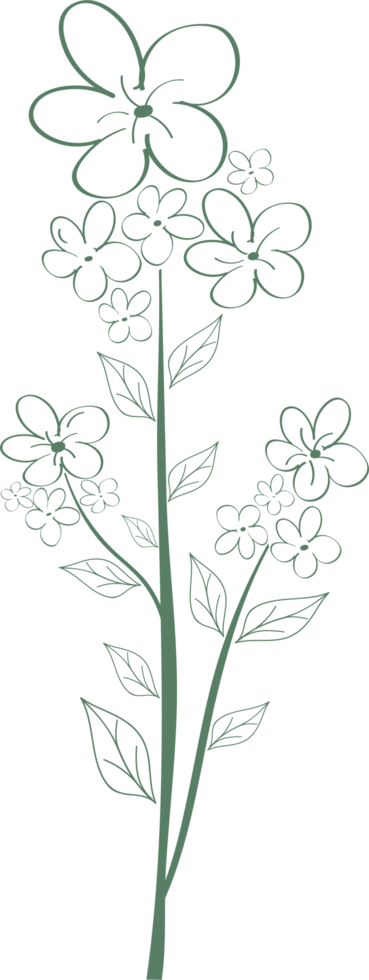 fiore floreale e foglie disegnati a mano, illustrazione botanica astratta png