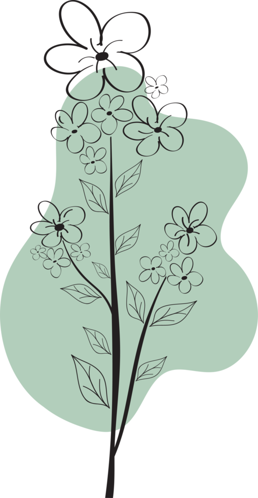 fleur florale dessinée à la main avec une forme libre organique, illustration botanique abstraite png