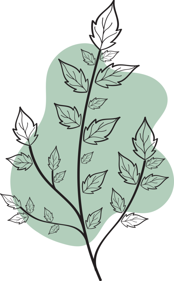 fleur florale dessinée à la main avec une forme libre organique, illustration botanique abstraite png