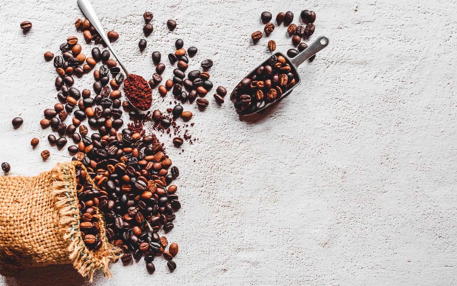 Top view of coffee beans in a brown sack.Coffee beans in the stainless steel scoop and coffee powder on a wooden spoon on white background.Flat lay and copy space. photo