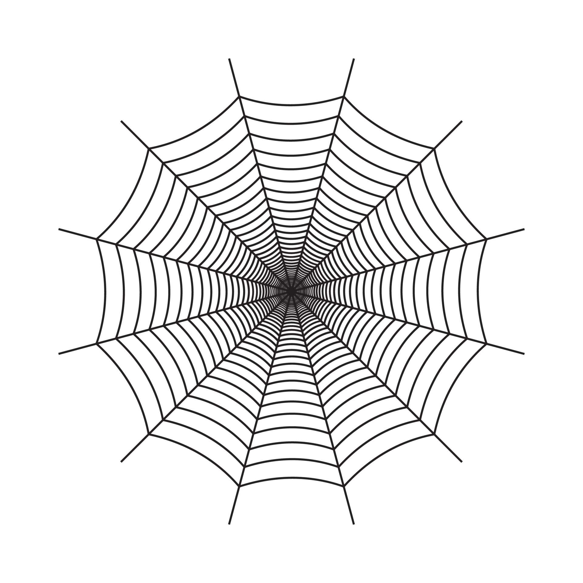 Black on sale spider web