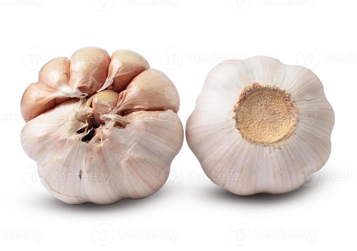 Beautiful garlic isolated on white background. with clipping path. photo