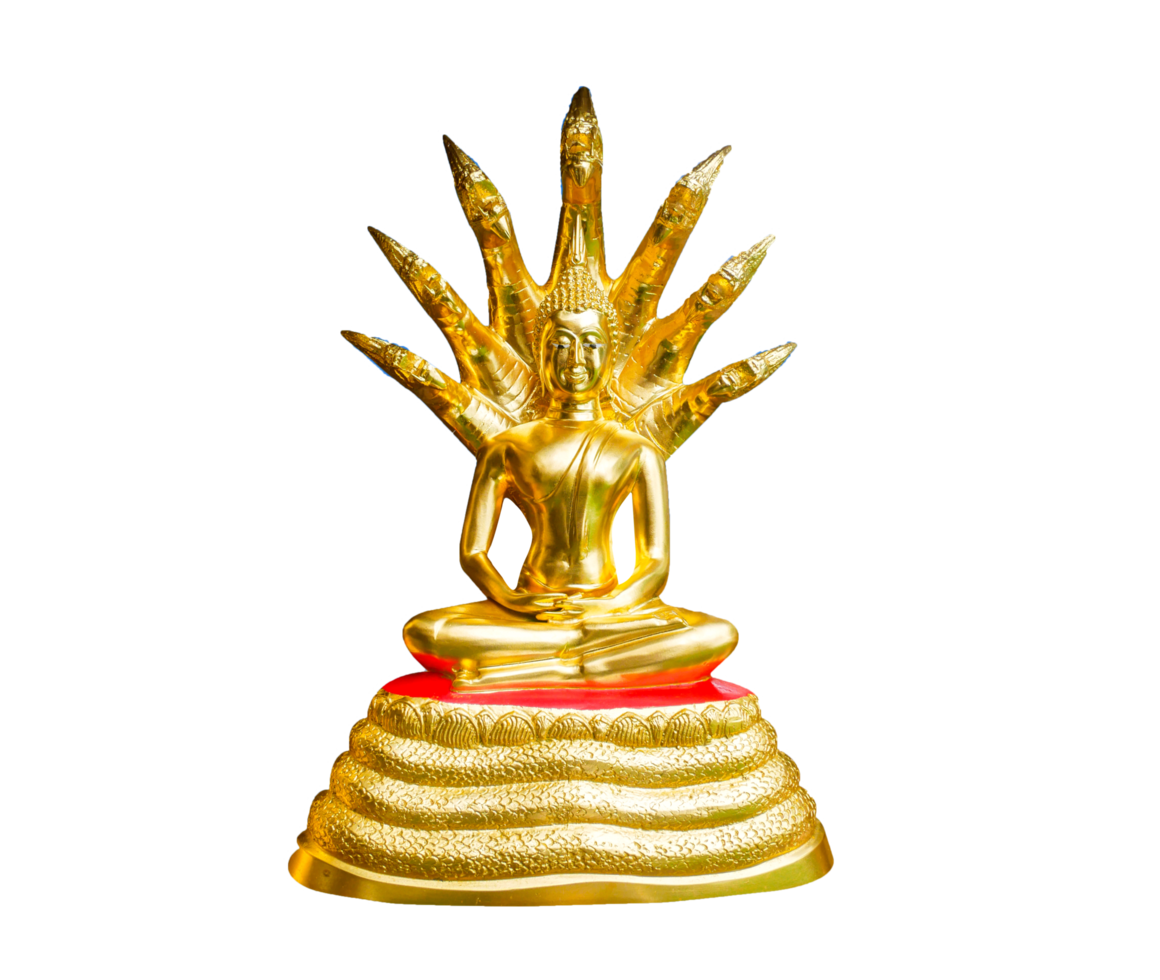 golden buddha on isolated white background png