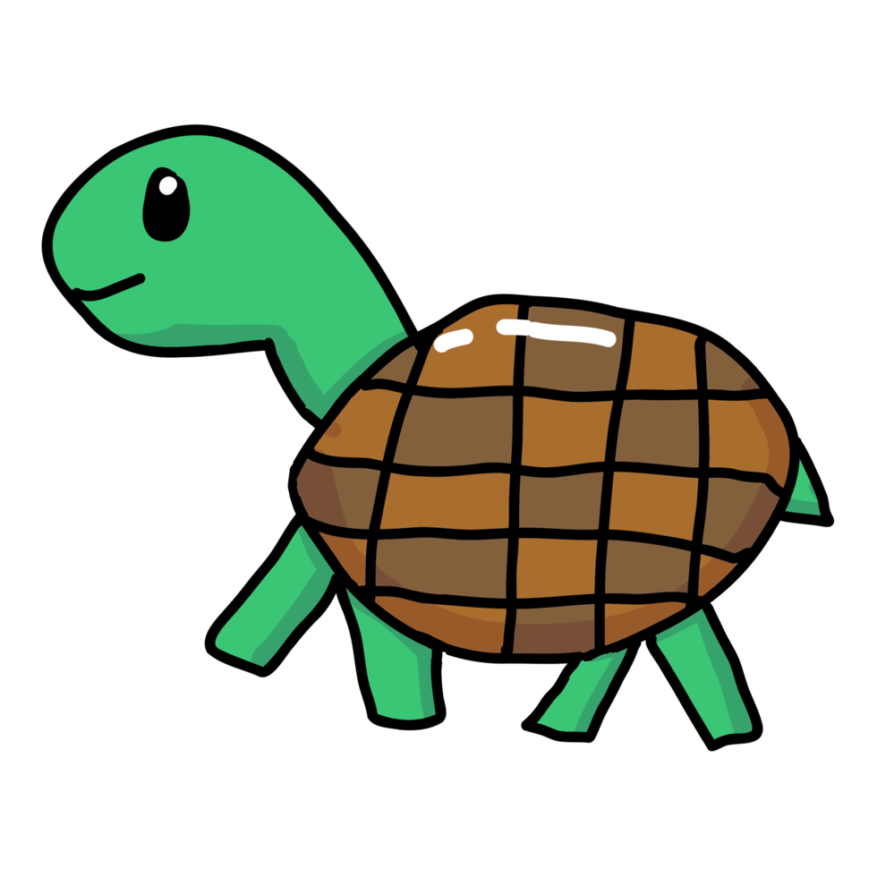 sköldpadda djur havet png