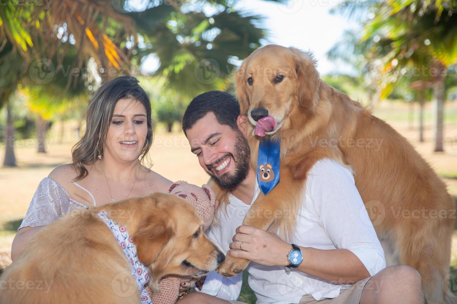 Couple pregnancy photos with dogs