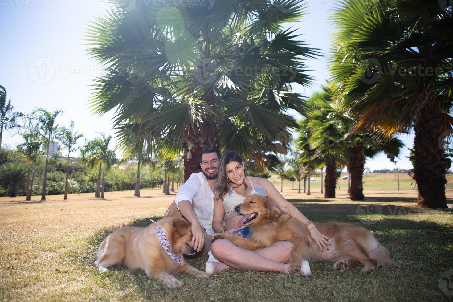 Couple pregnancy photos with dogs