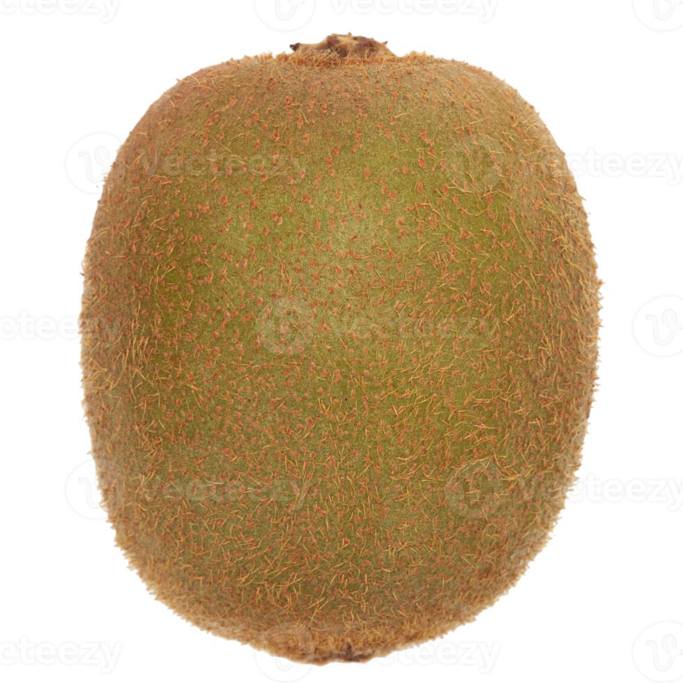 Kiwi cutout, Png file