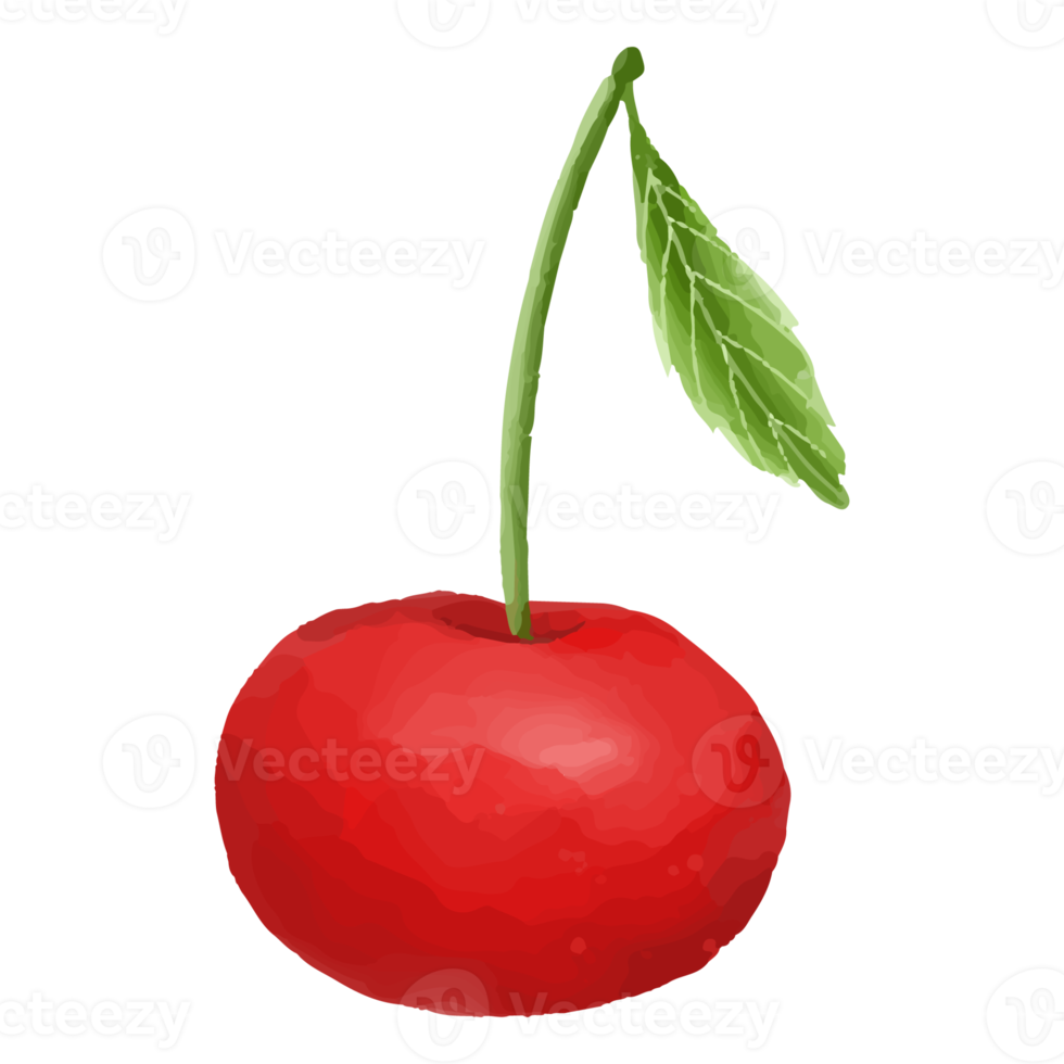 ciliegia dell'acquerello, clipart di frutta dipinta a mano png