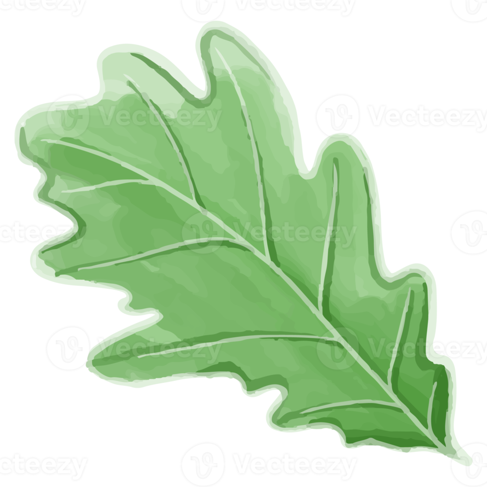 Watercolor leaf, Green leaf clipart png