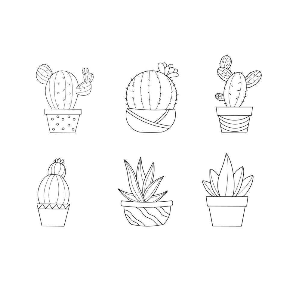 Cactus  set illustration vector