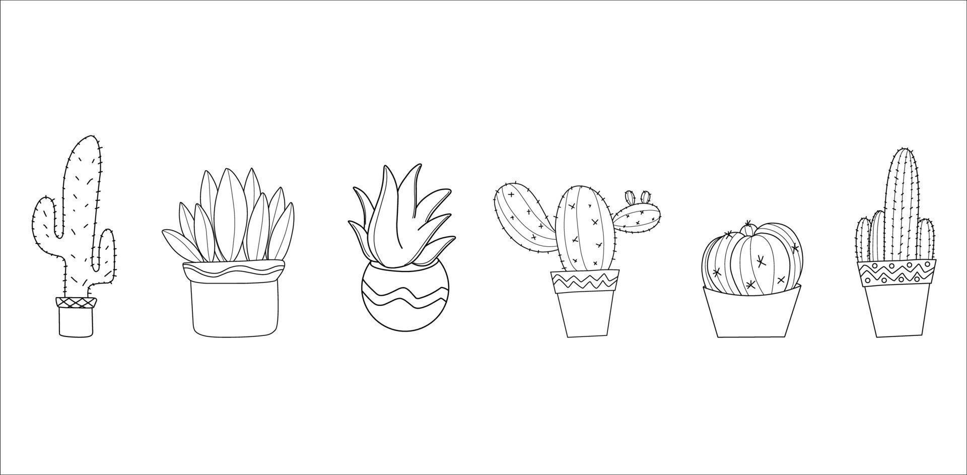 Cactus in pot illustration vector