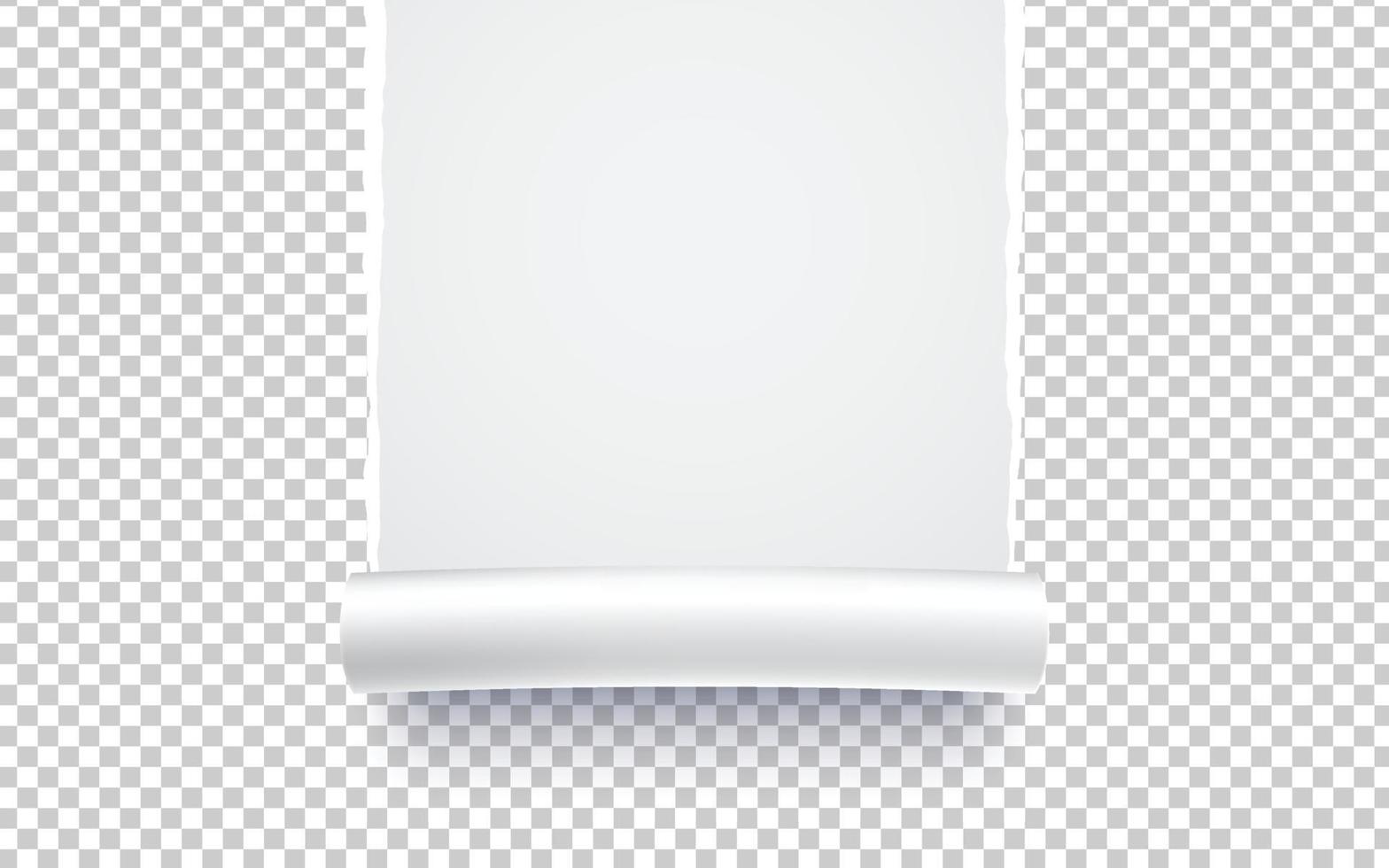 Paper torn. Paper Ripped with realistic shadow transparency. Vector object.