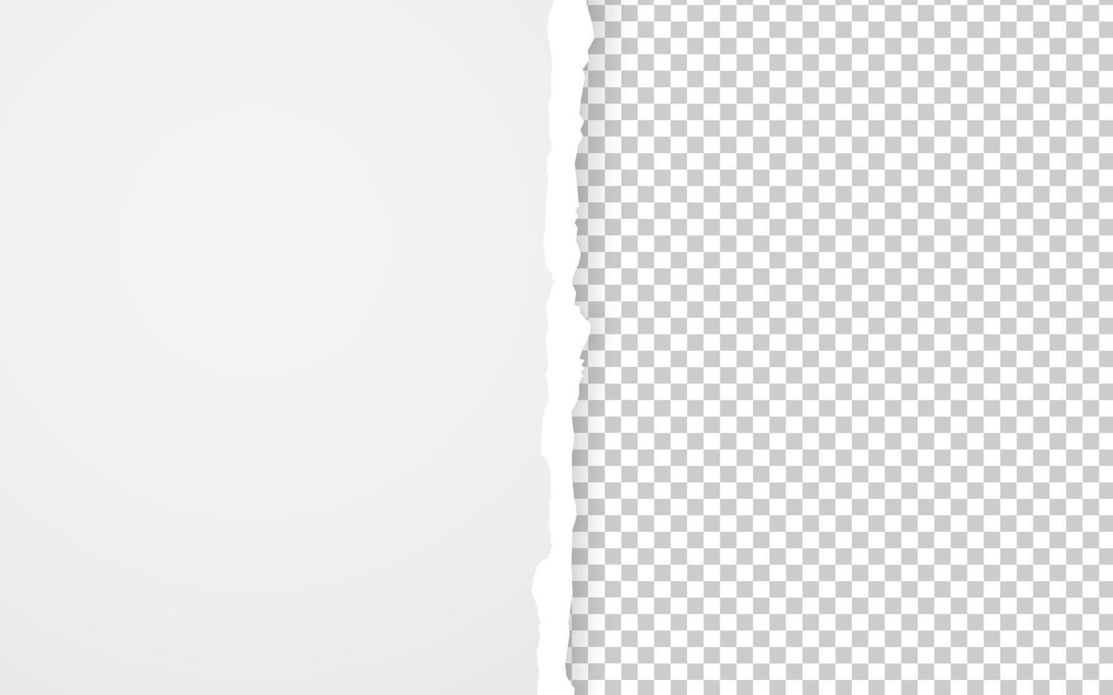 Paper torn. Paper Ripped with realistic shadow transparency. Vector object.