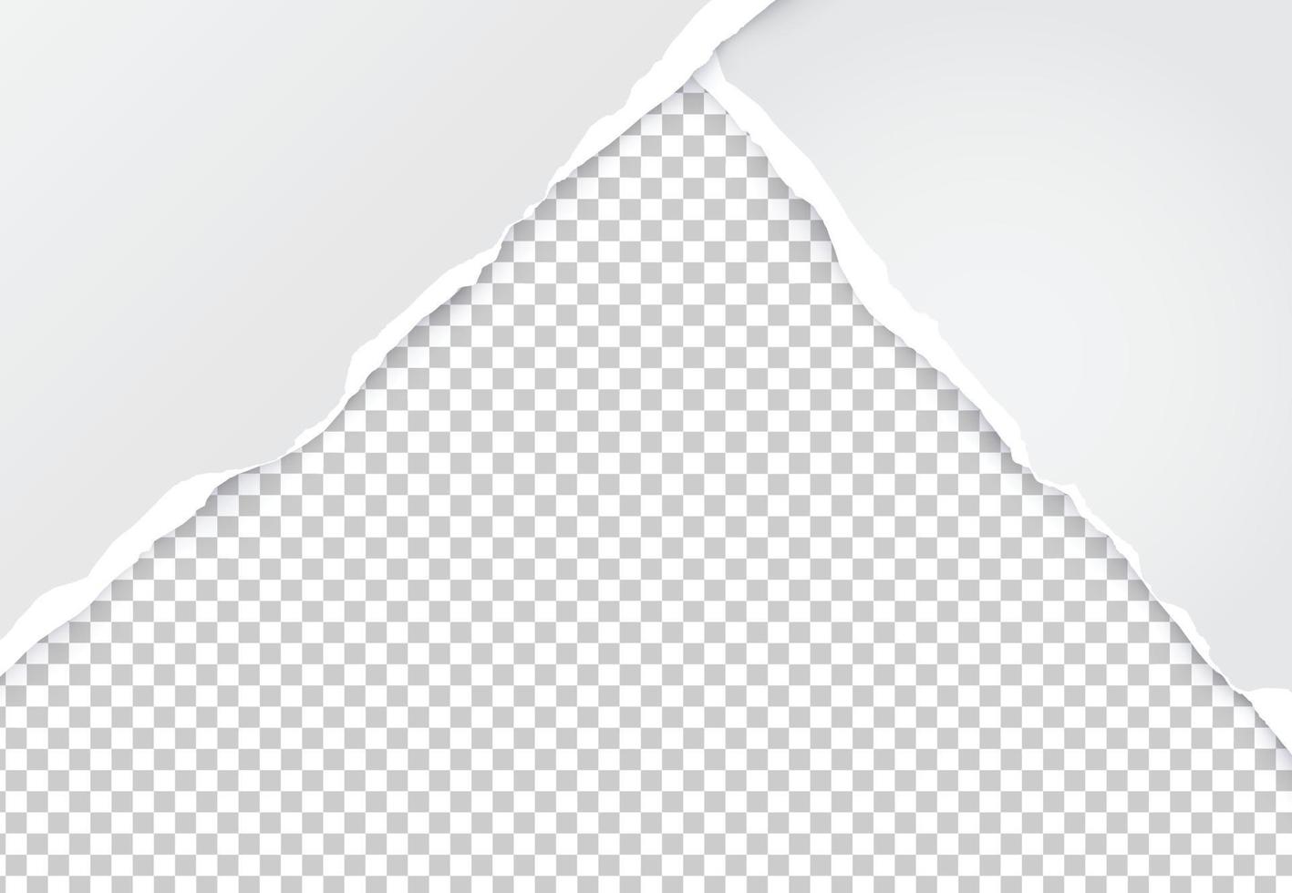 Paper torn. Paper Ripped with realistic shadow transparency. Vector object.