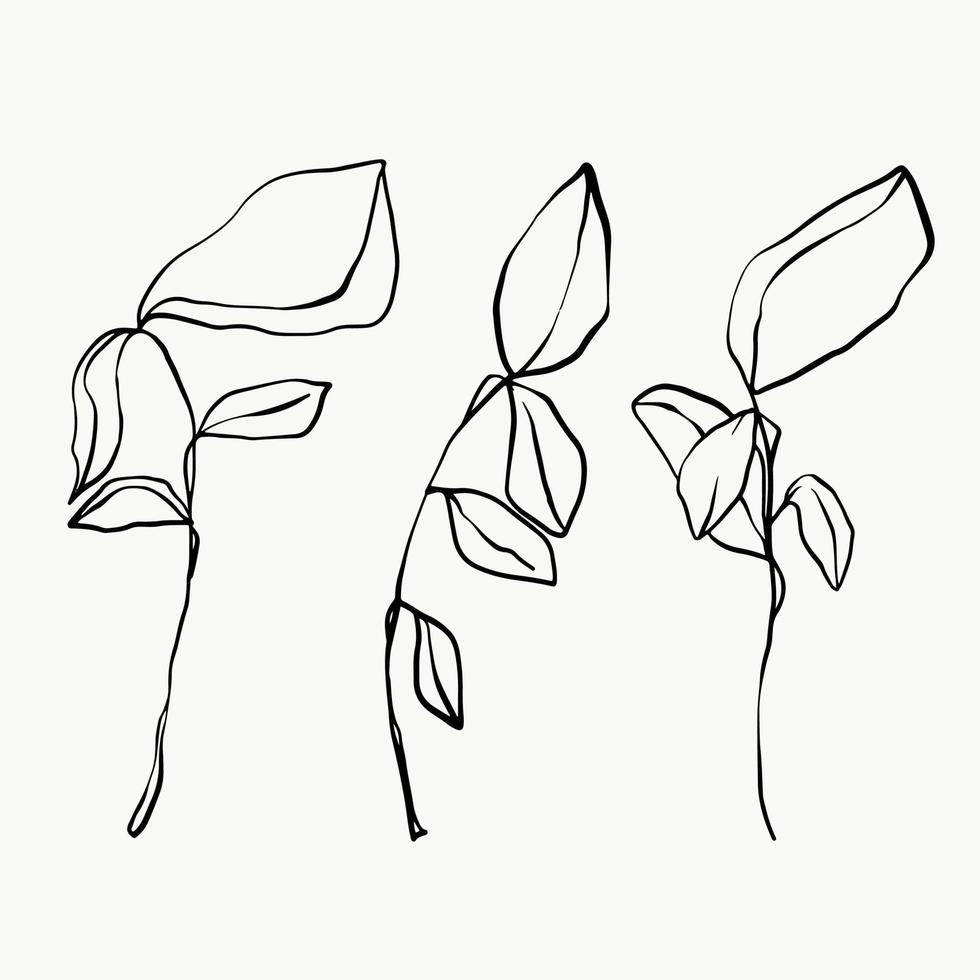 Leaves and tropical line foliage isolated on white background. vector design