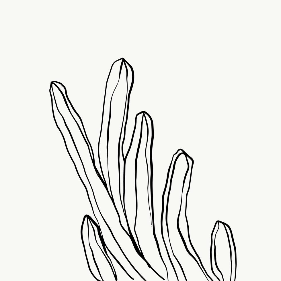 Leaves and tropical line foliage isolated on white background. vector design