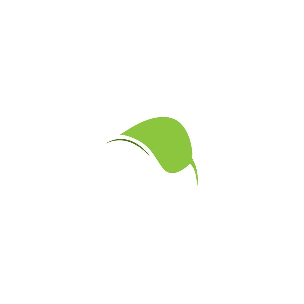 leaf icon vector illustration design