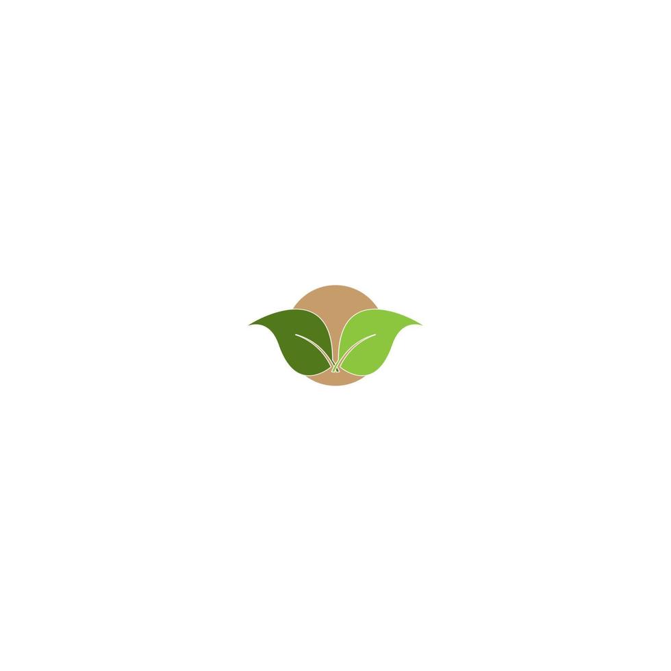 leaf icon vector illustration design