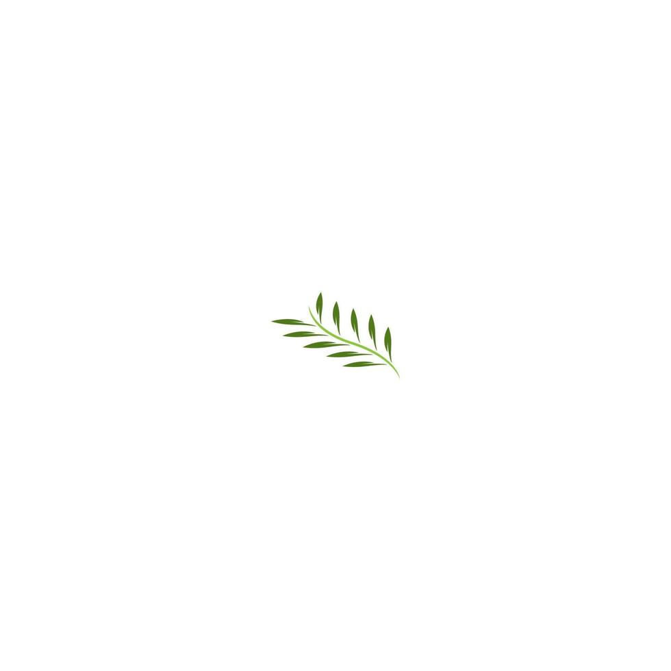 leaf icon vector illustration design