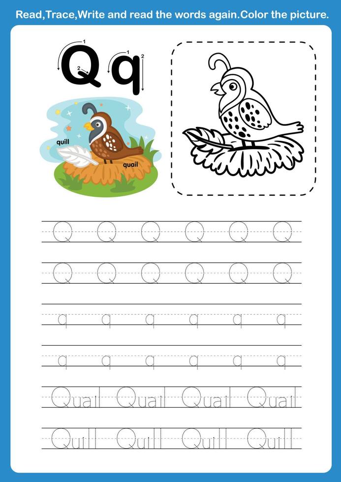 Alphabet Letter Q with cartoon vocabulary for coloring book illustration, vector