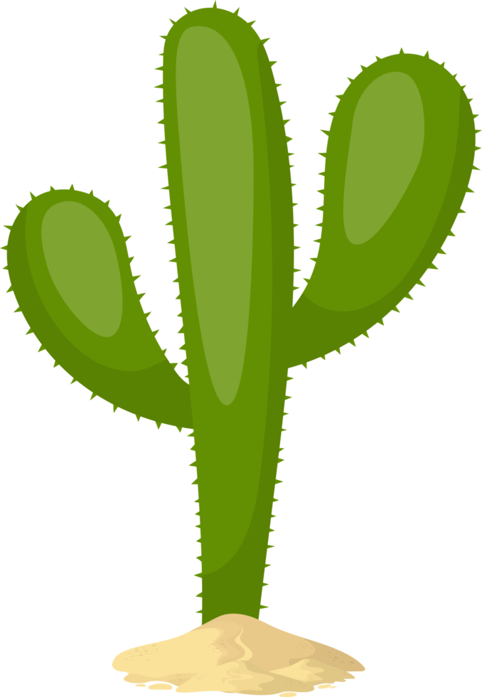 Cactus, Desenho, Coração png transparente grátis