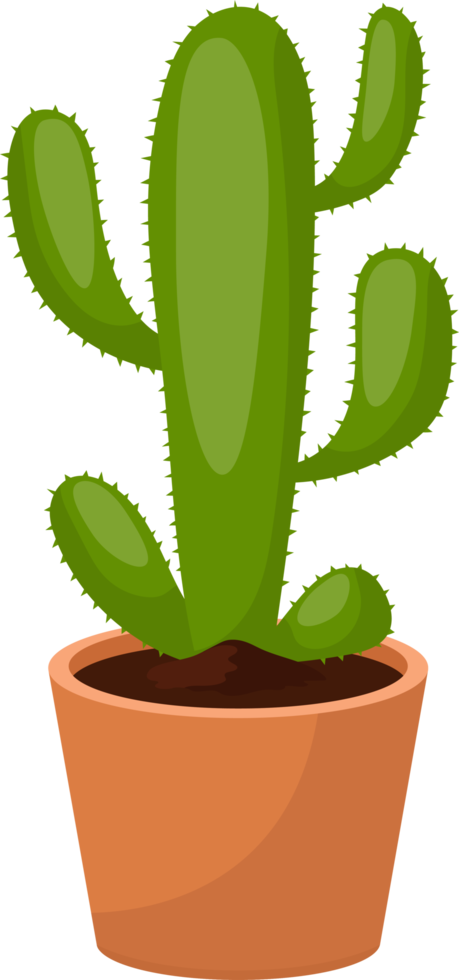 illustrazione di progettazione di clipart di cactus png