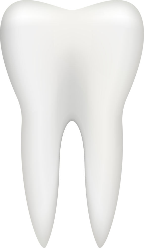 Tooth vector clipart design illustration png