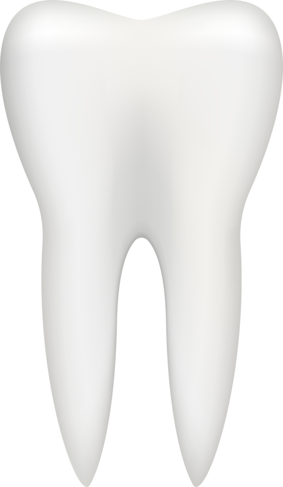 Tooth vector clipart design illustration png