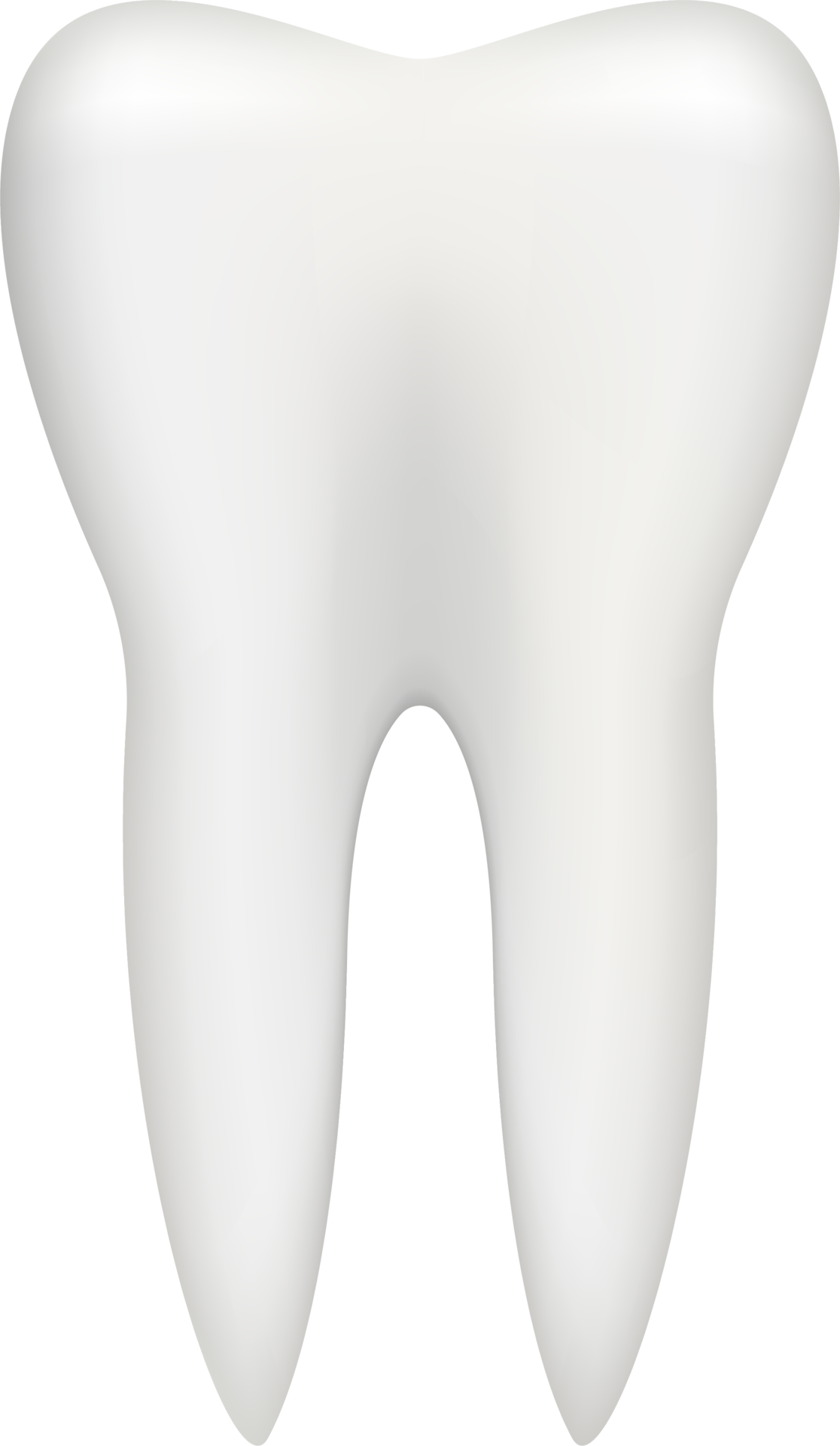 teeth vector png