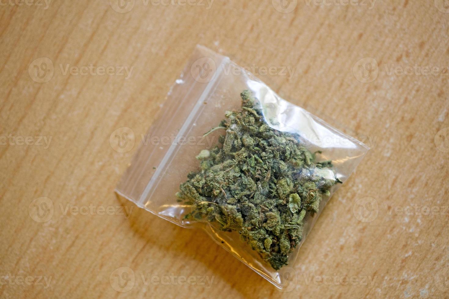 Marihuana in small bug macro fifty megapixels photo
