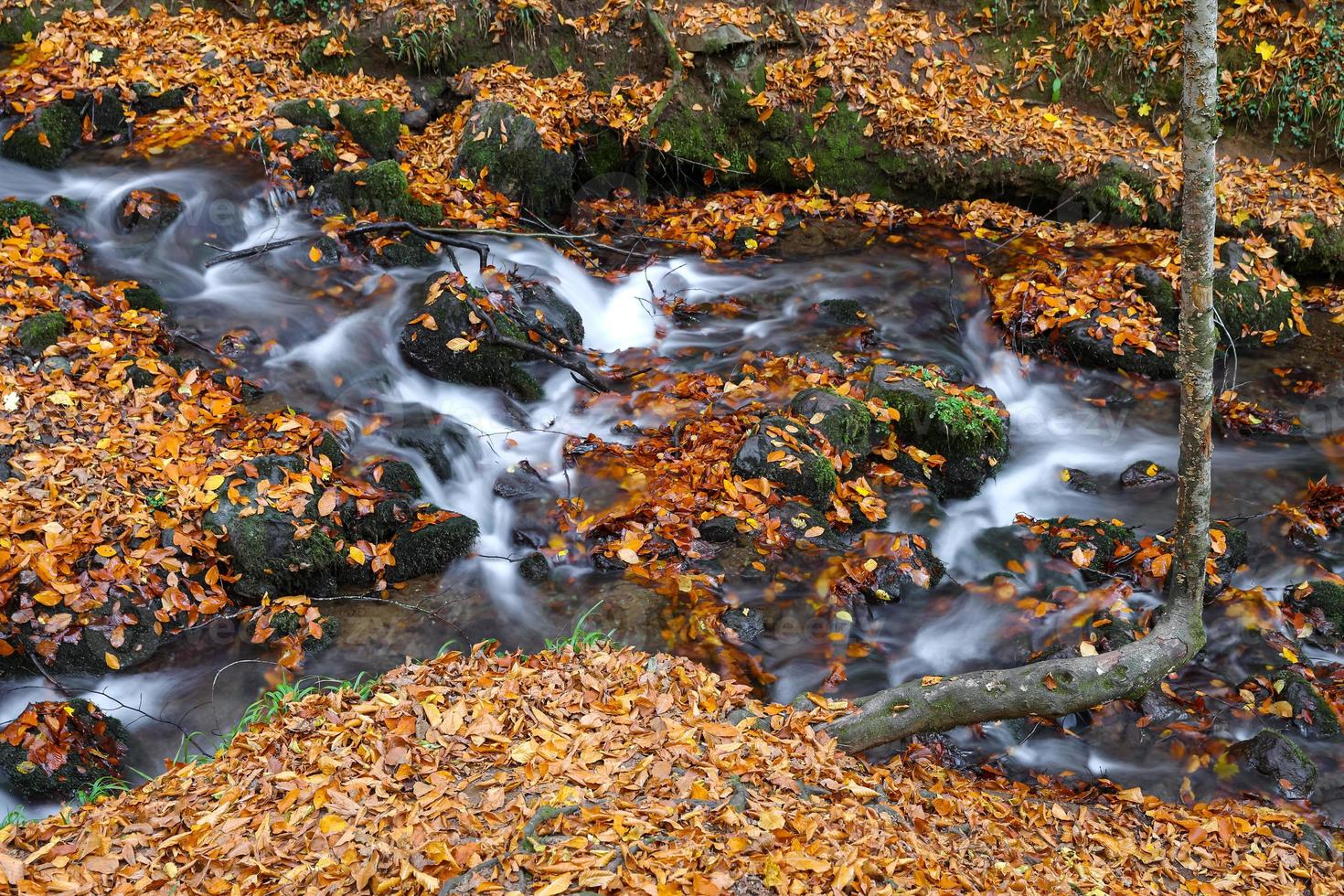 Waterfall in Yedigoller National Park, Bolu, Turkey photo