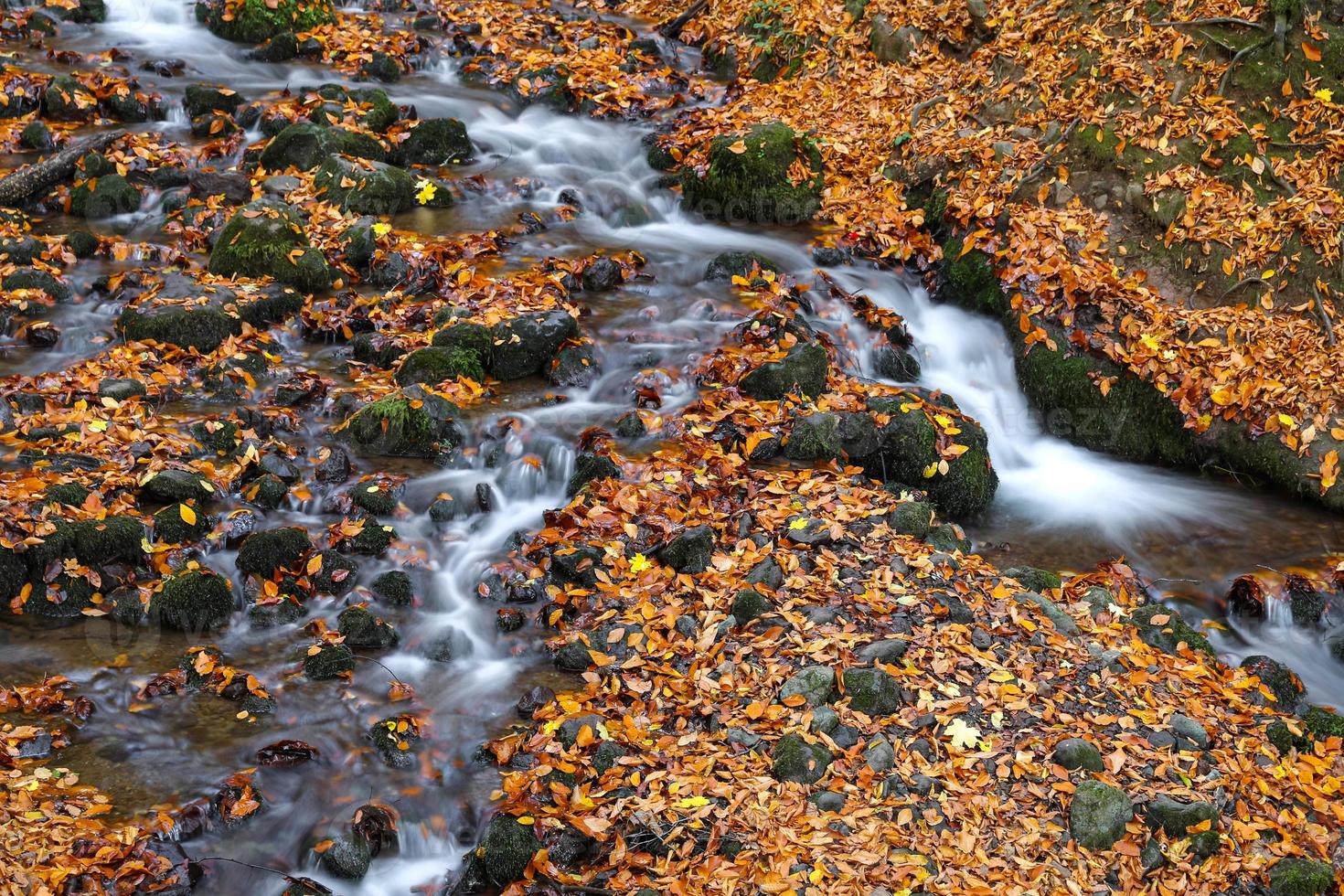 Waterfall in Yedigoller National Park, Bolu, Turkey photo