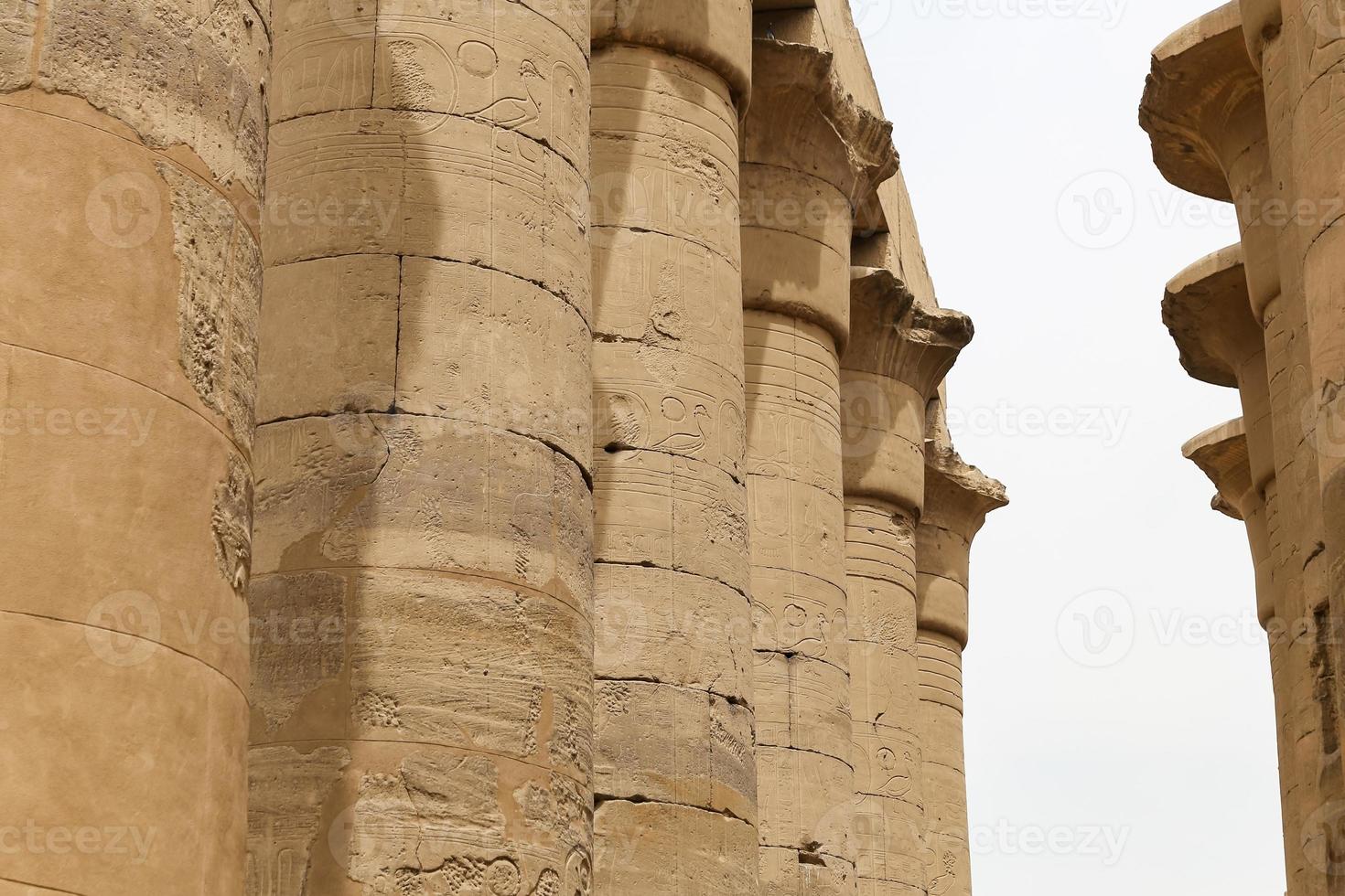 Columns in Luxor Temple, Luxor, Egypt photo