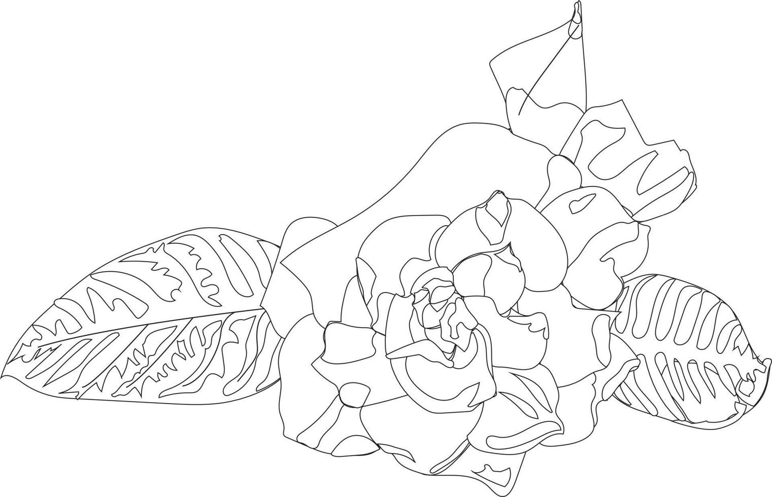 Gardenia in doodle style. Vector illustration.